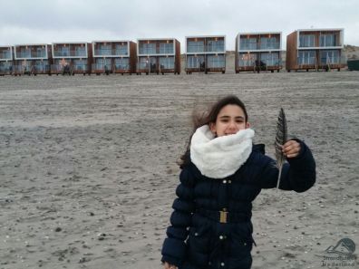 Huisjes aan zee Hoek van Holland
