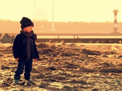 strand Hoek van Holland