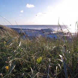strandhuisje Wijk aan Zee
